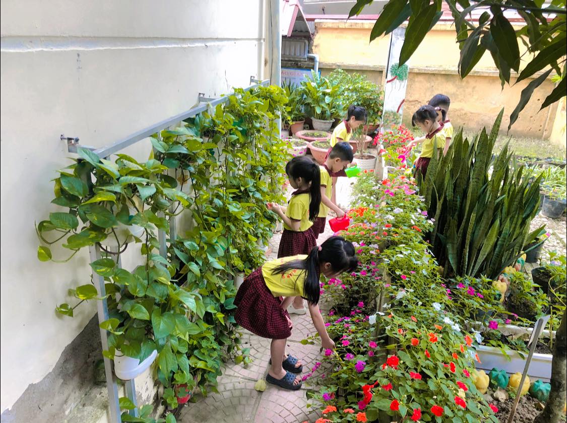 467754896 913348854317378 8305456043016138434 n