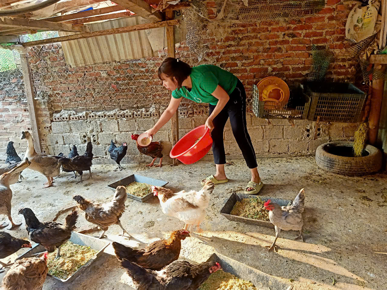 z6346309411539 983e7d1ad15d2d0621f5c5e357ba8fcd