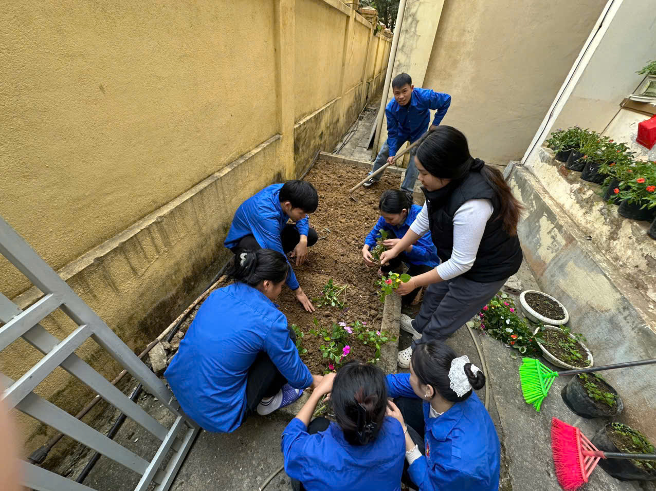 Hưởng ứng Ngày thành lập Đoàn Thanh Niên Cộng sản Hồ Chí Minh của Chi Đoàn Trường mầm Non Him Lam