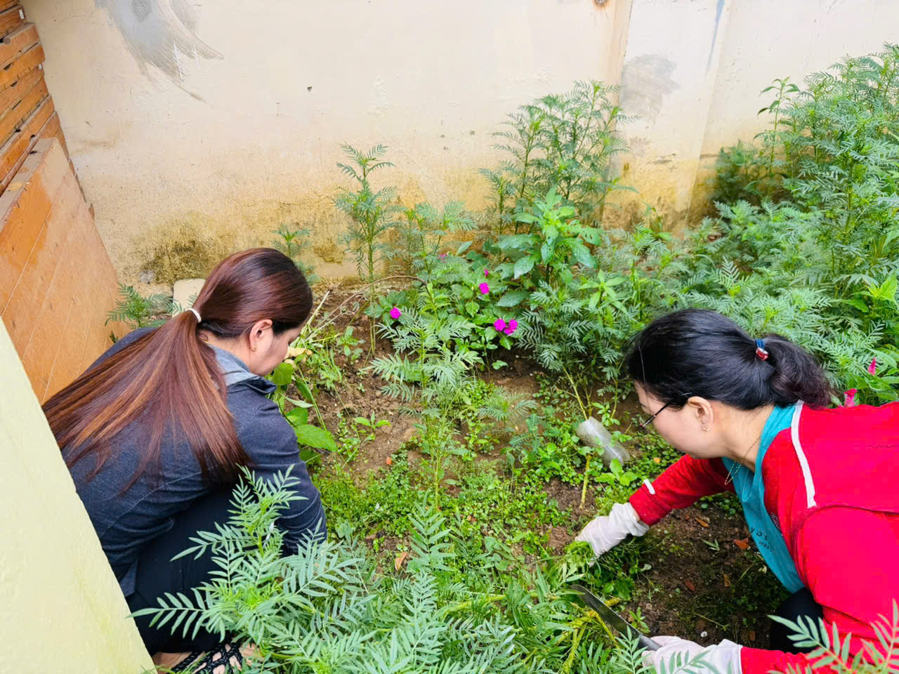 535709533 1114989947486600 363175679722041609 n